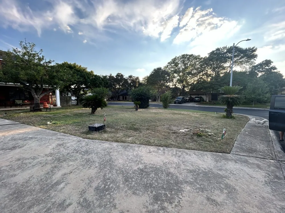 Expert yard maintenance experts serving San Antonio, TX - Orozco Yard Restoration