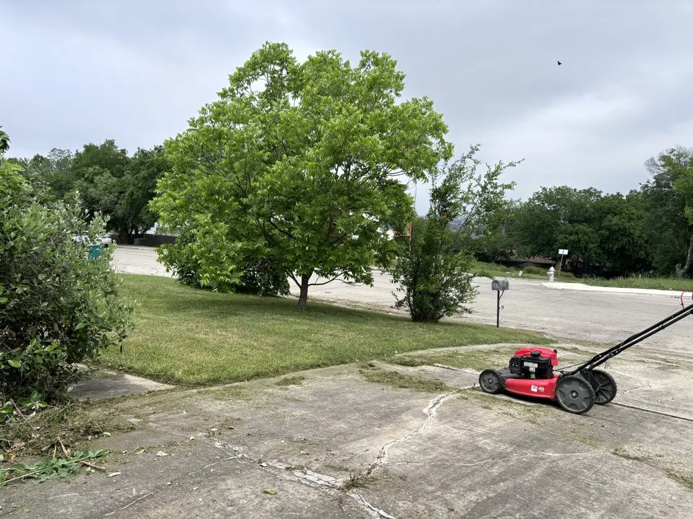 Trusted residential landscaping for beautiful yards in San Antonio, TX by Orozco Yard Restoration