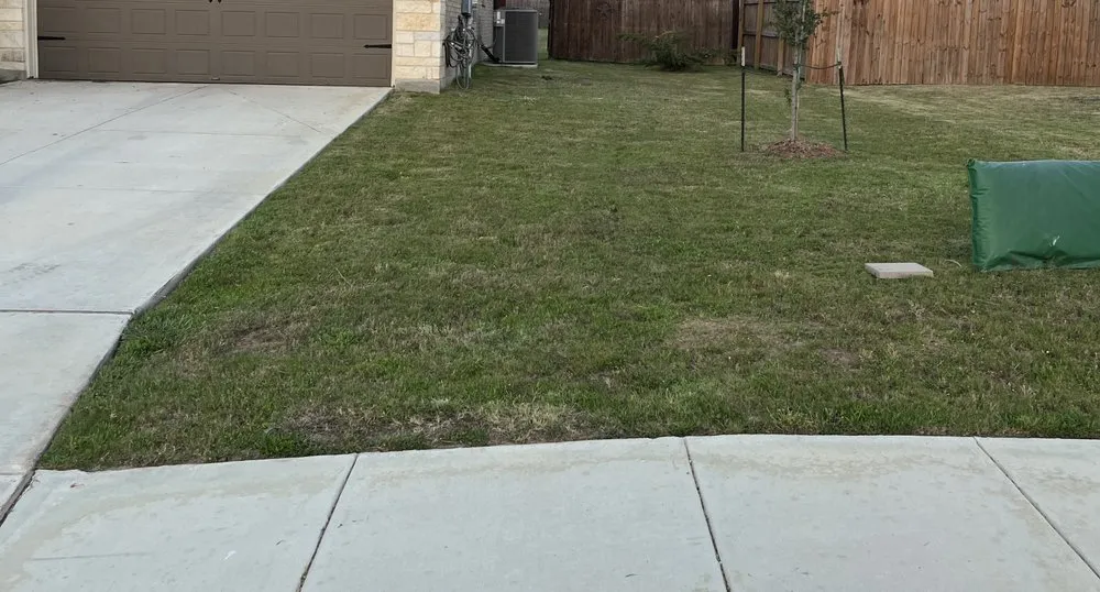 Local yard cleanup service in San Antonio, TX by Orozco Yard Restoration