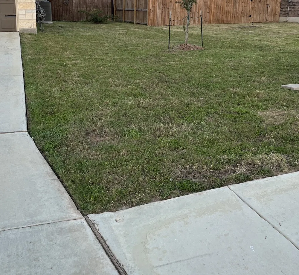 Expert garden landscaping in San Antonio, TX by Orozco Yard Restoration