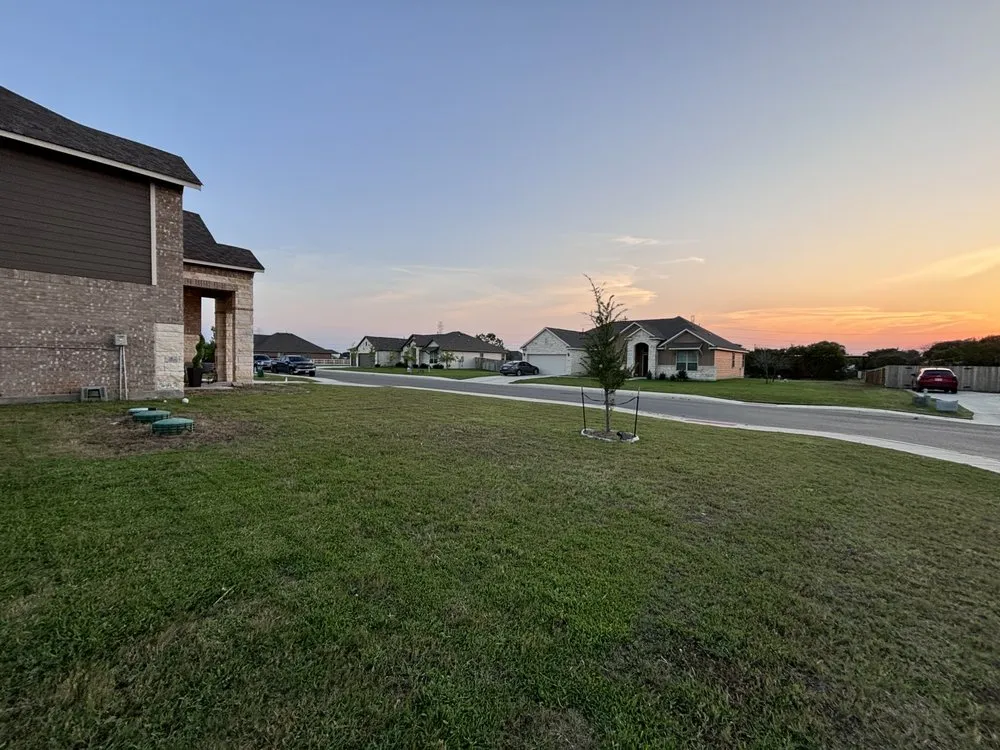 Custom lawn care service experts serving San Antonio, TX - Orozco Yard Restoration