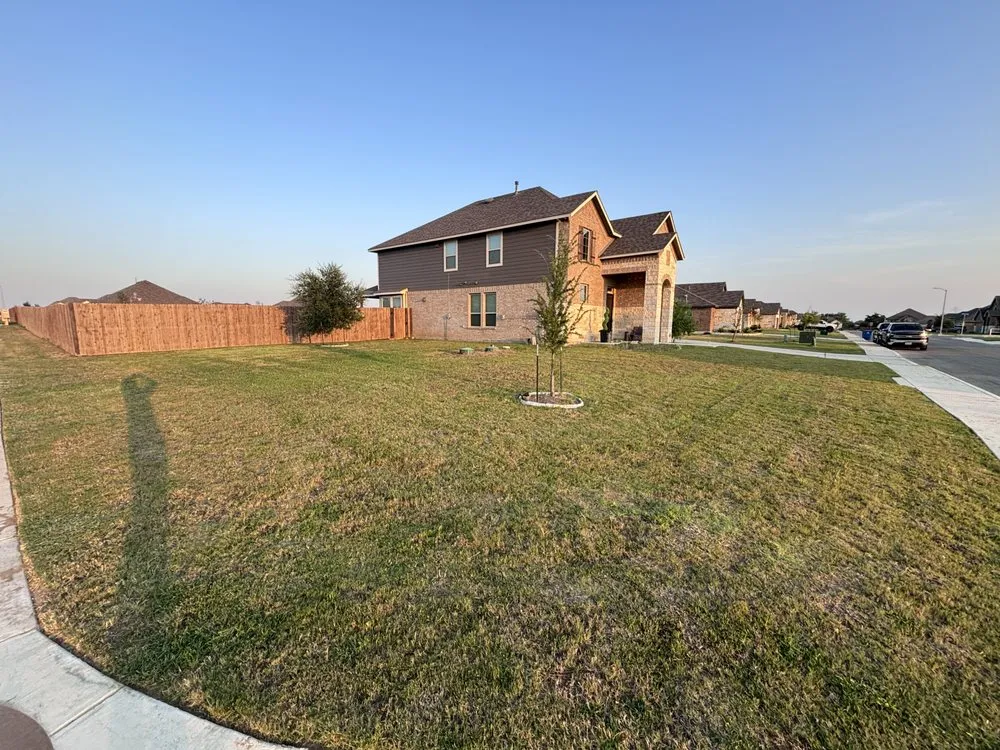 Professional yard maintenance in San Antonio, TX - Orozco Yard Restoration