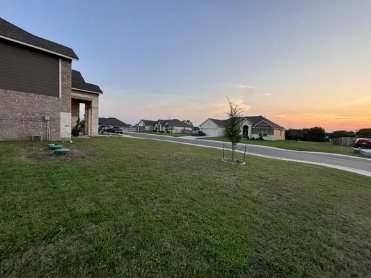 Orozco Yard Restoration Logo