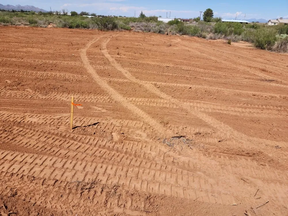 Professional yard cleanup service in Las Cruces, NM - Orozcos Landscaping