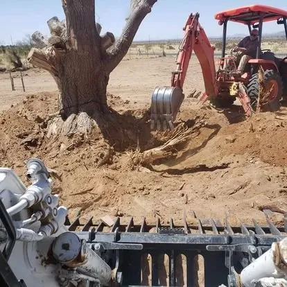 Local residential landscaping in Las Cruces, NM by Orozcos Landscaping