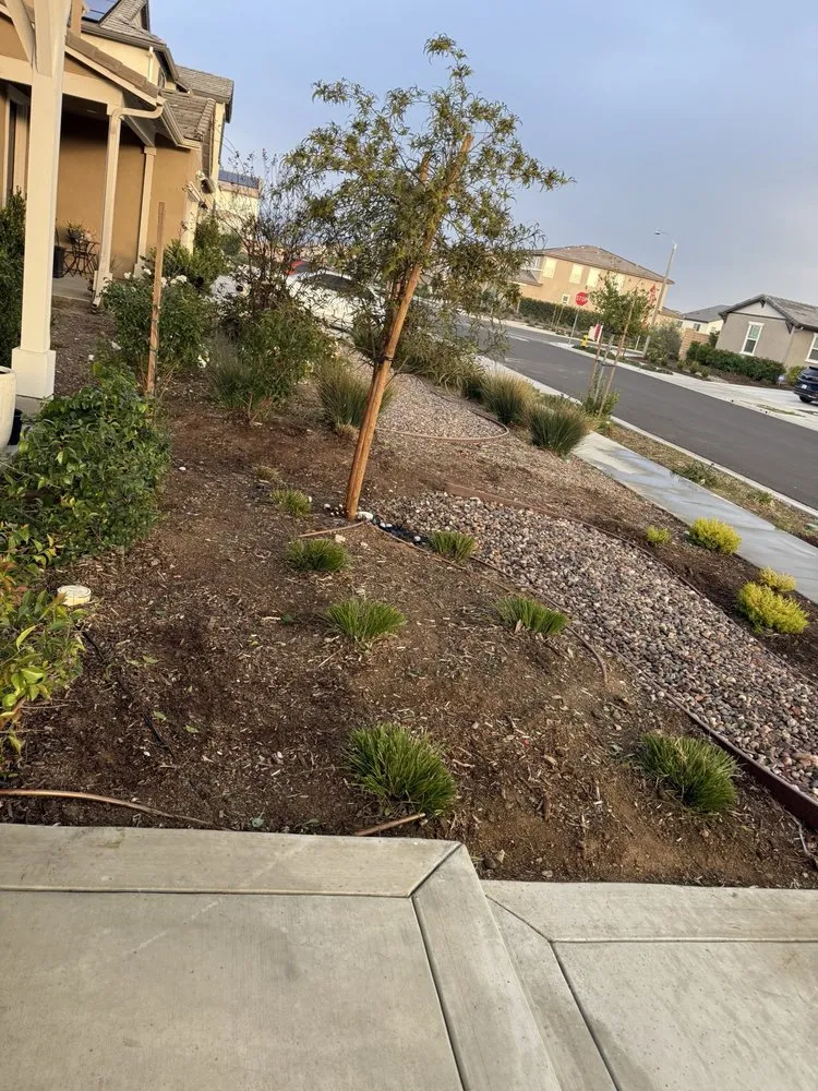 Custom yard cleanup service for outdoor upgrades across Perris, CA - Orozco's Landscaping