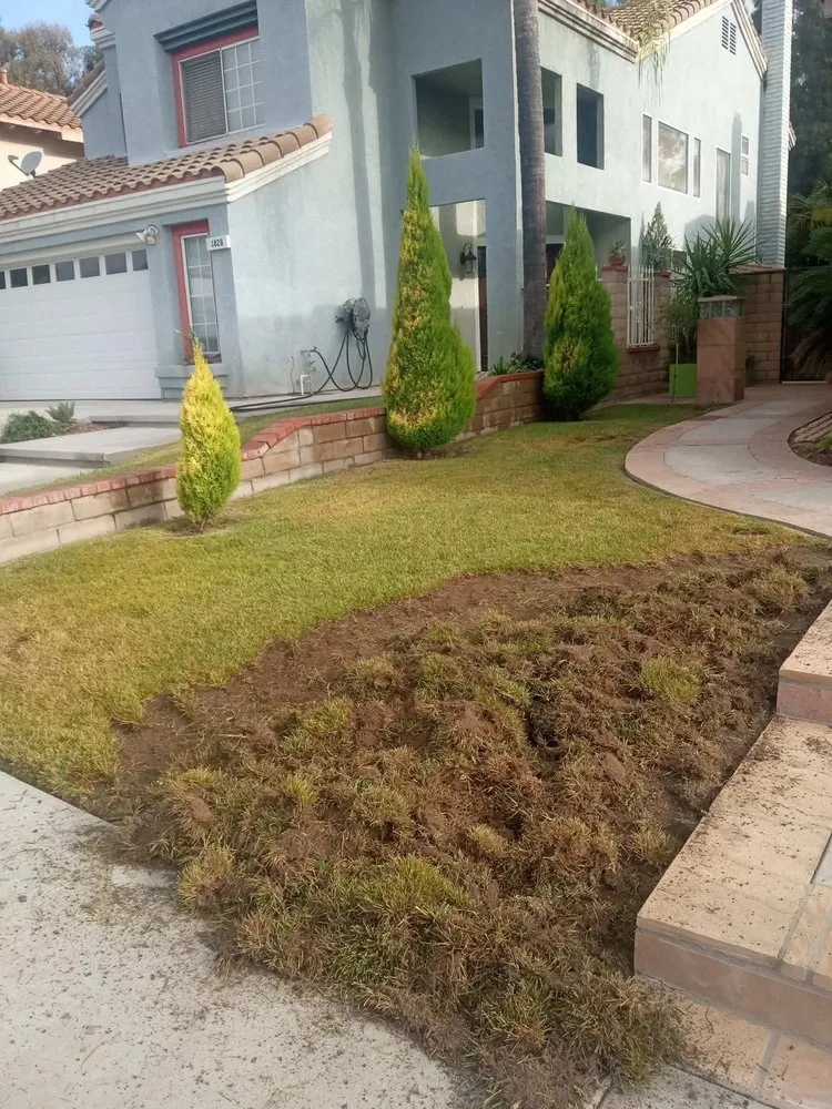 Affordable landscape installation experts serving Perris, CA - Orozco's Landscaping
