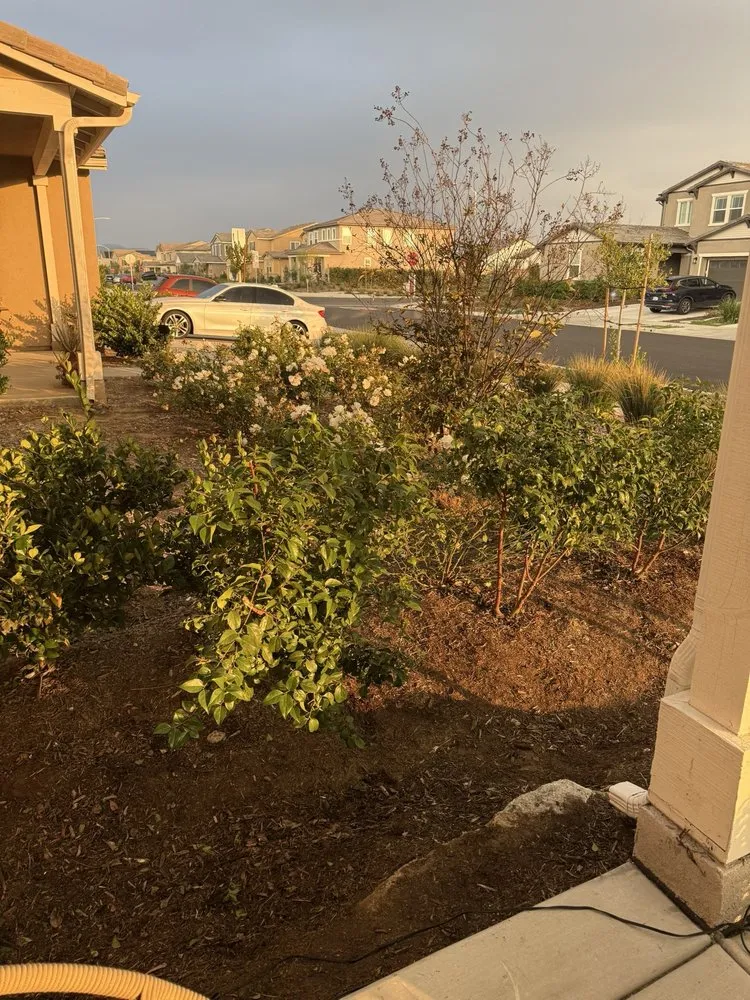 Affordable garden landscaping in Perris, CA by Orozco's Landscaping