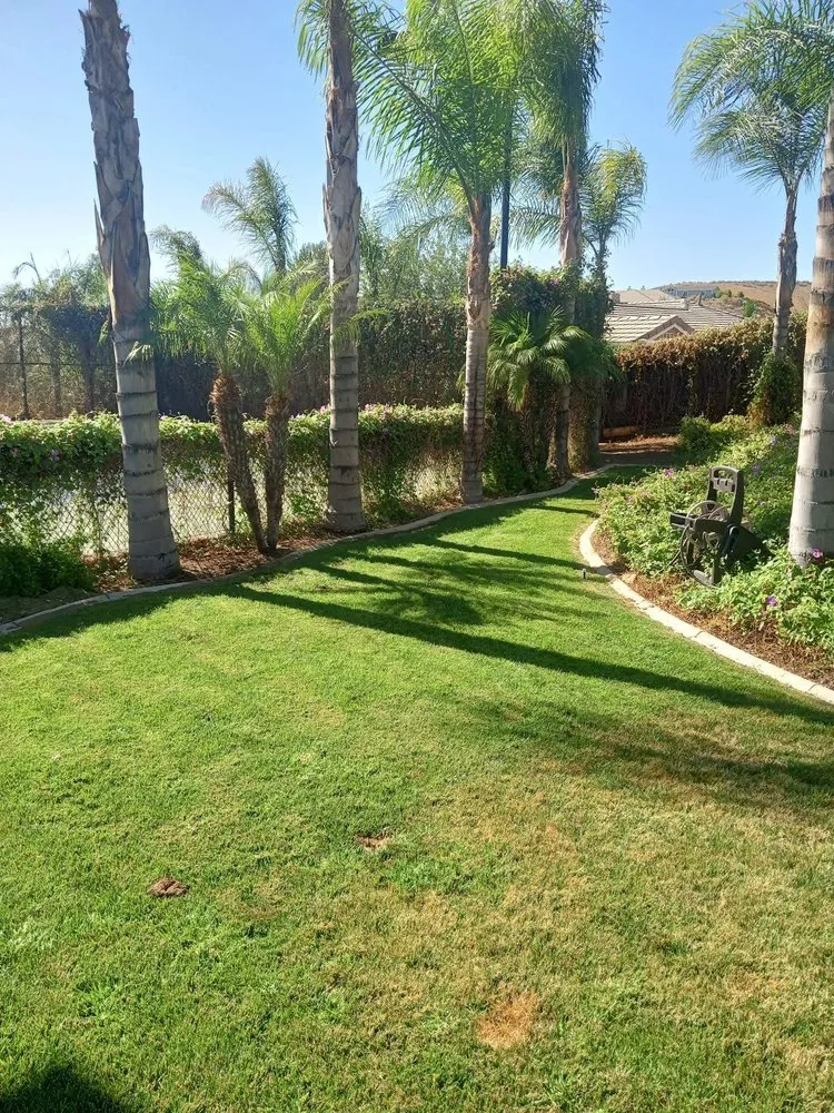 Custom residential landscaping in Perris, CA by Orozco's Landscaping