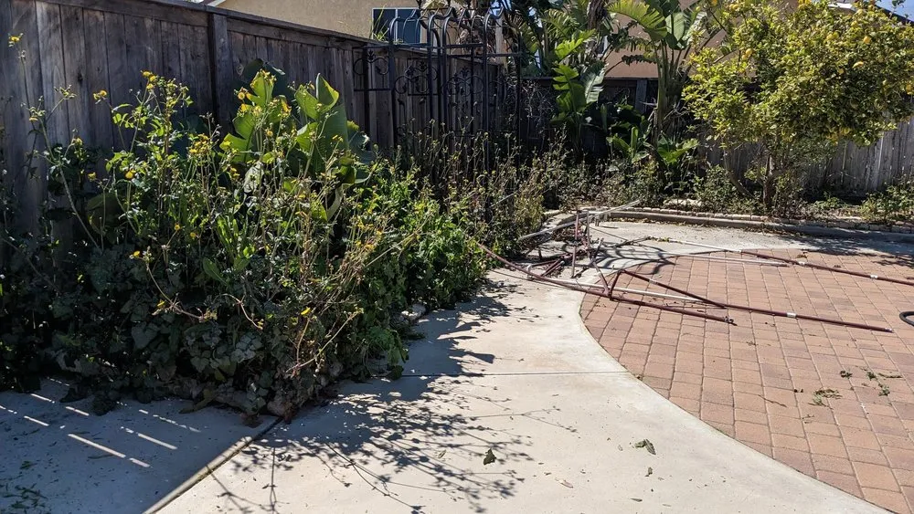 Expert landscape design for beautiful yards in Perris, CA by Orozco's Landscaping