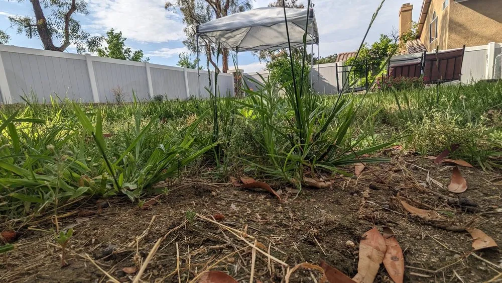 Custom outdoor landscaping in Perris, CA - Orozco's Landscaping