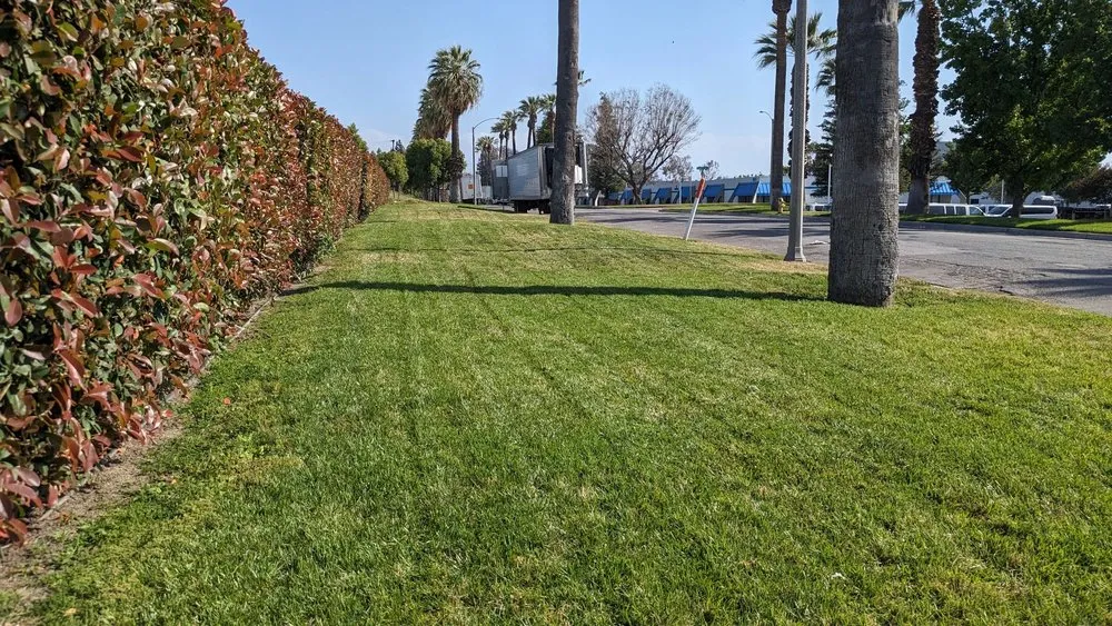 Local yard maintenance for homes in Perris, CA by Orozco's Landscaping