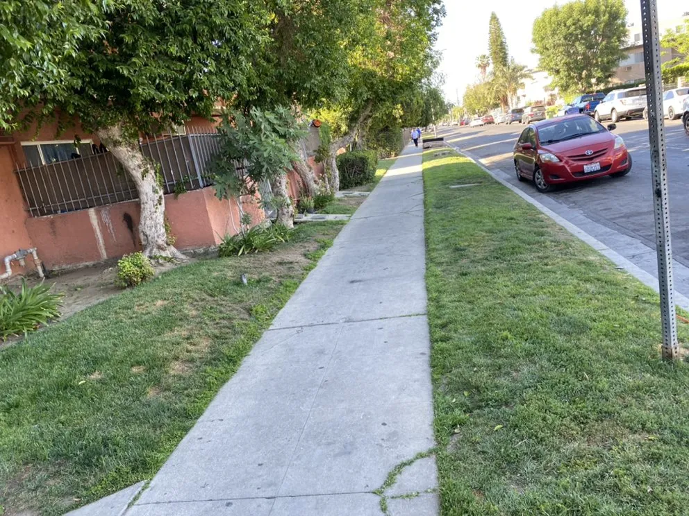 Trusted garden landscaping for outdoor upgrades in San Fernando Valley, CA by Orozcos Landscaping