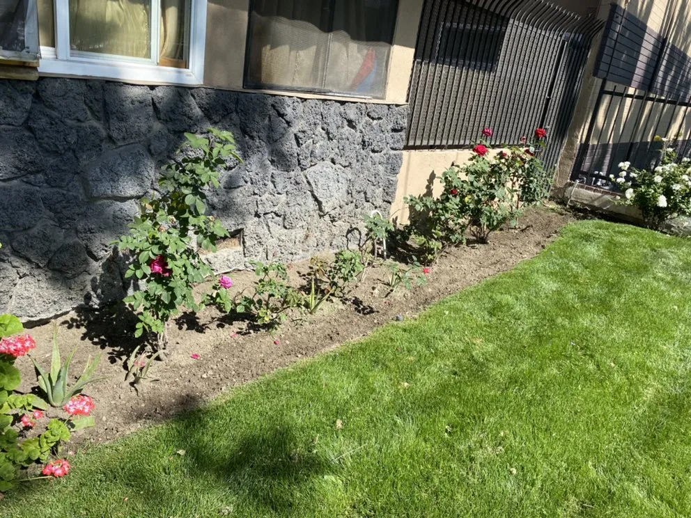 Local landscape installation in San Fernando Valley, CA by Orozcos Landscaping