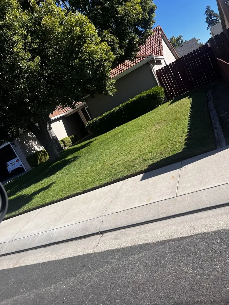 Trusted yard maintenance for homes in Tracy, CA by Orozco’s Landscaping