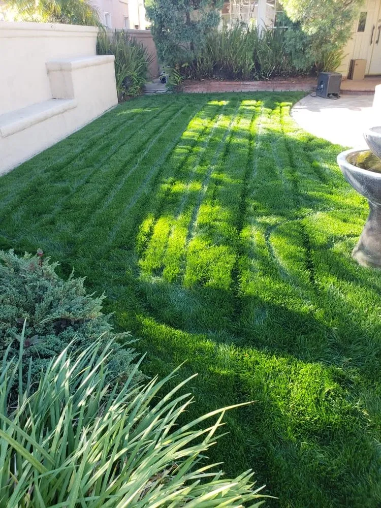 Expert landscaping services experts serving Orange, CA - Orozco's Lawncare Solutions