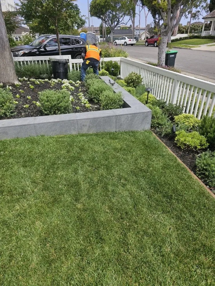 Reliable landscaping services in Orange, CA by Orozco's Lawncare Solutions