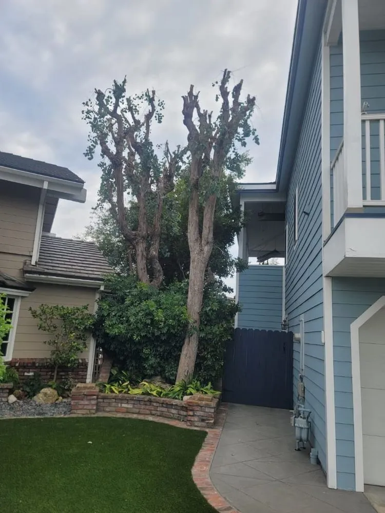 Reliable residential landscaping experts serving Orange, CA - Orozco's Lawncare Solutions