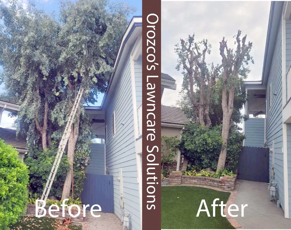 Reliable lawn mowing service in Orange, CA by Orozco's Lawncare Solutions