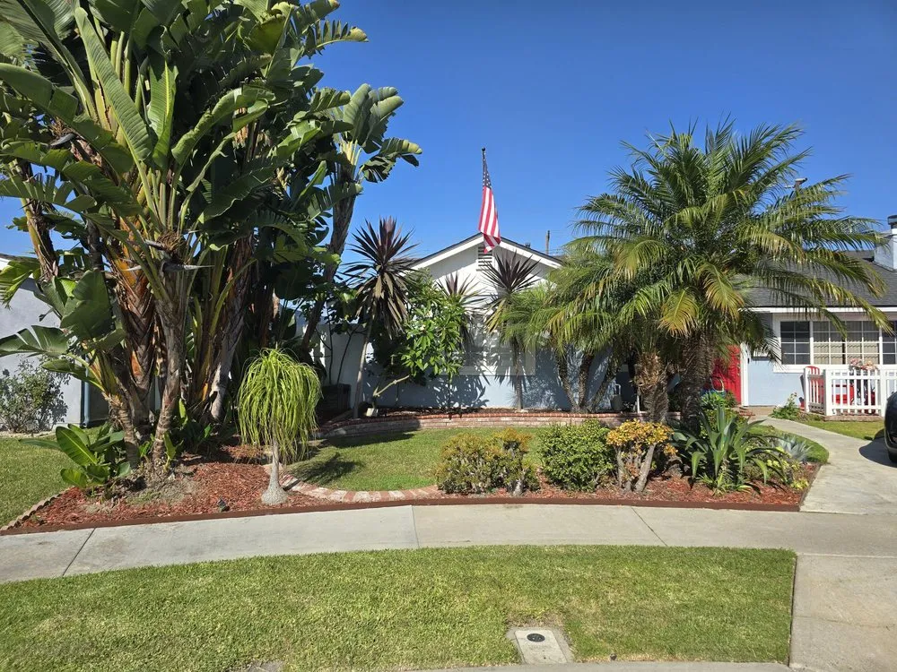 Expert yard cleanup service for year-round maintenance across Orange, CA - Orozco's Lawncare Solutions