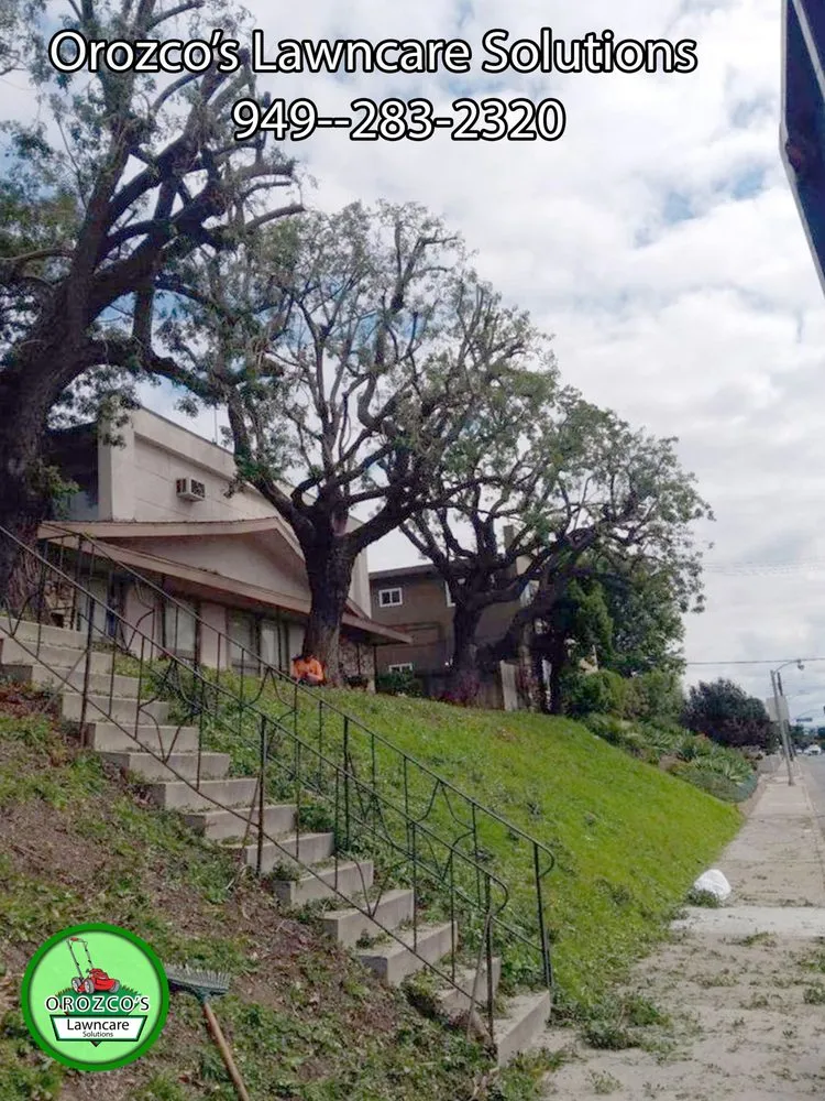 Local landscape installation in Orange, CA by Orozco's Lawncare Solutions