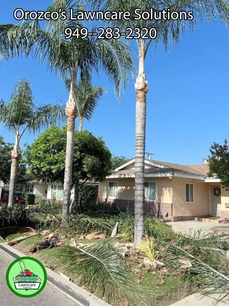 Top-rated yard maintenance for residential properties in Orange, CA by Orozco's Lawncare Solutions