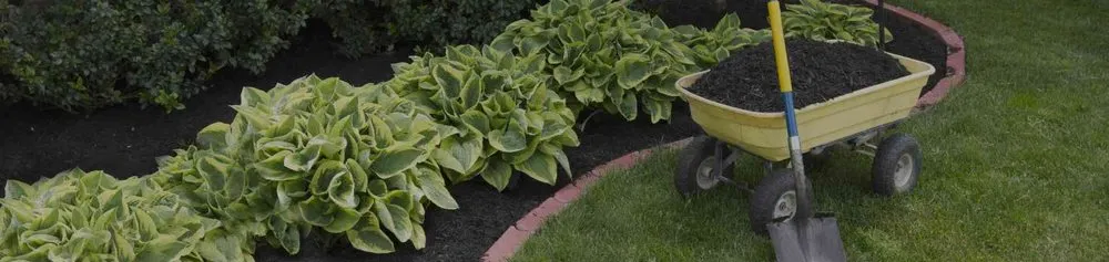 Trusted landscaping services for residential properties across Orlando, FL - Orpa Homes Commercial Lawns Care And Maintenance