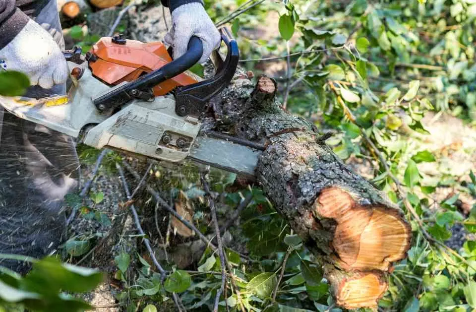 Affordable garden landscaping for outdoor upgrades in Orlando, FL by Orpa Homes Commercial Lawns Care And Maintenance