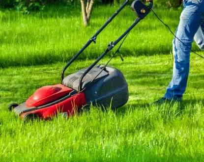 Local landscape design in Orlando, FL by Orpa Homes Commercial Lawns Care And Maintenance