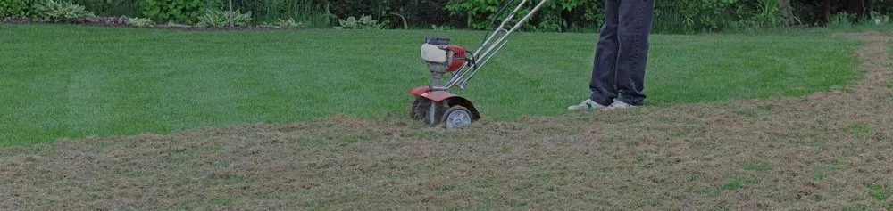 Affordable yard cleanup service experts serving Orlando, FL - Orpa Homes Commercial Lawns Care And Maintenance