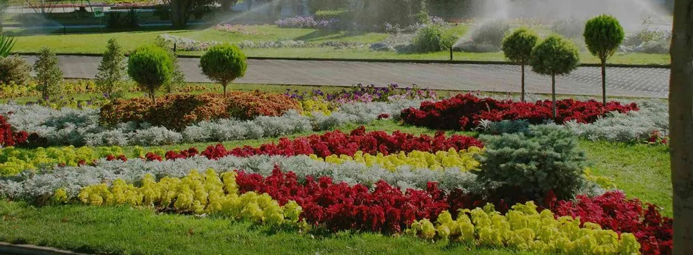 Local garden landscaping with custom design across Orlando, FL - Orpa Homes Commercial Lawns Care And Maintenance