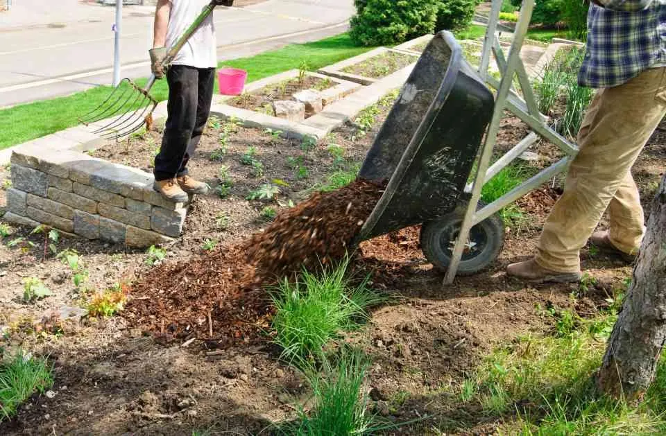 Top-rated residential landscaping for residential properties across Orlando, FL - Orpa Homes Commercial Lawns Care And Maintenance