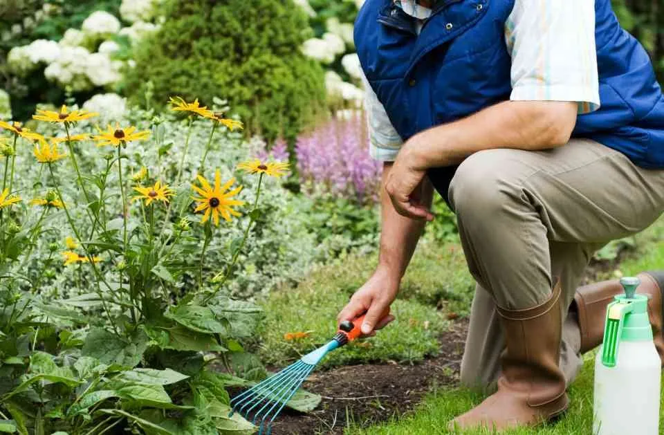 Professional garden landscaping experts serving Orlando, FL - Orpa Homes Commercial Lawns Care And Maintenance