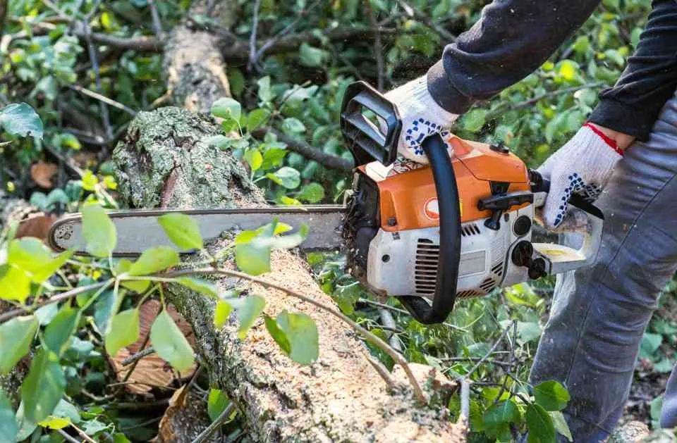 Expert landscape design near you across Orlando, FL - Orpa Homes Commercial Lawns Care And Maintenance