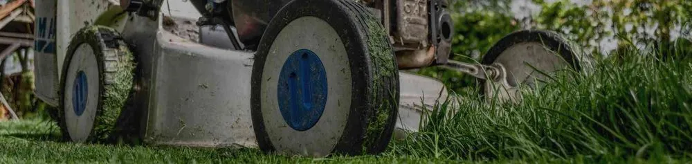 Reliable landscape installation for year-round maintenance across Orlando, FL - Orpa Homes Commercial Lawns Care And Maintenance