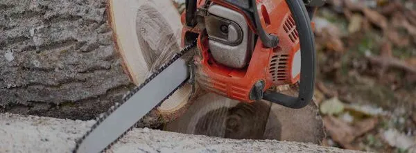 Orpa Homes Commercial Lawns Care And Maintenance Logo