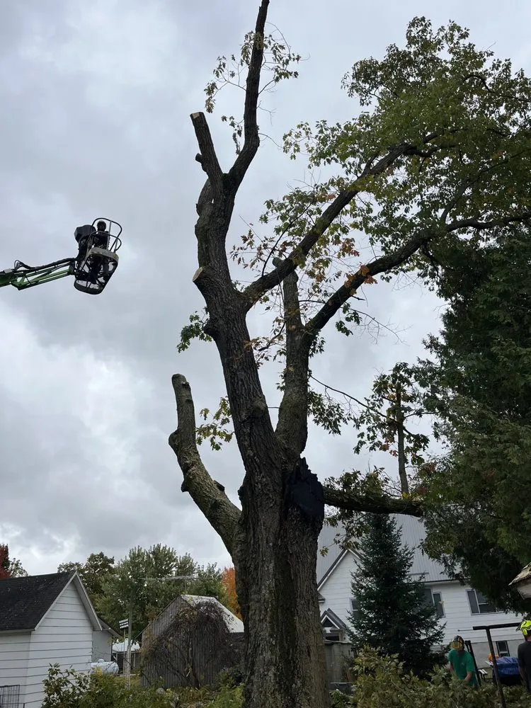 Local yard maintenance near you in Waupaca, WI by Orr Outdoor Services