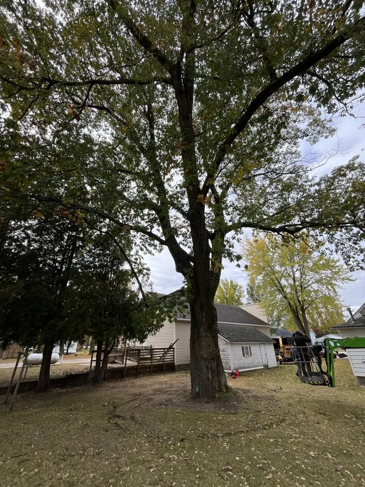 Local landscape design in Waupaca, WI - Orr Outdoor Services