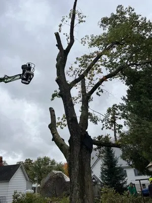 Orr Outdoor Services