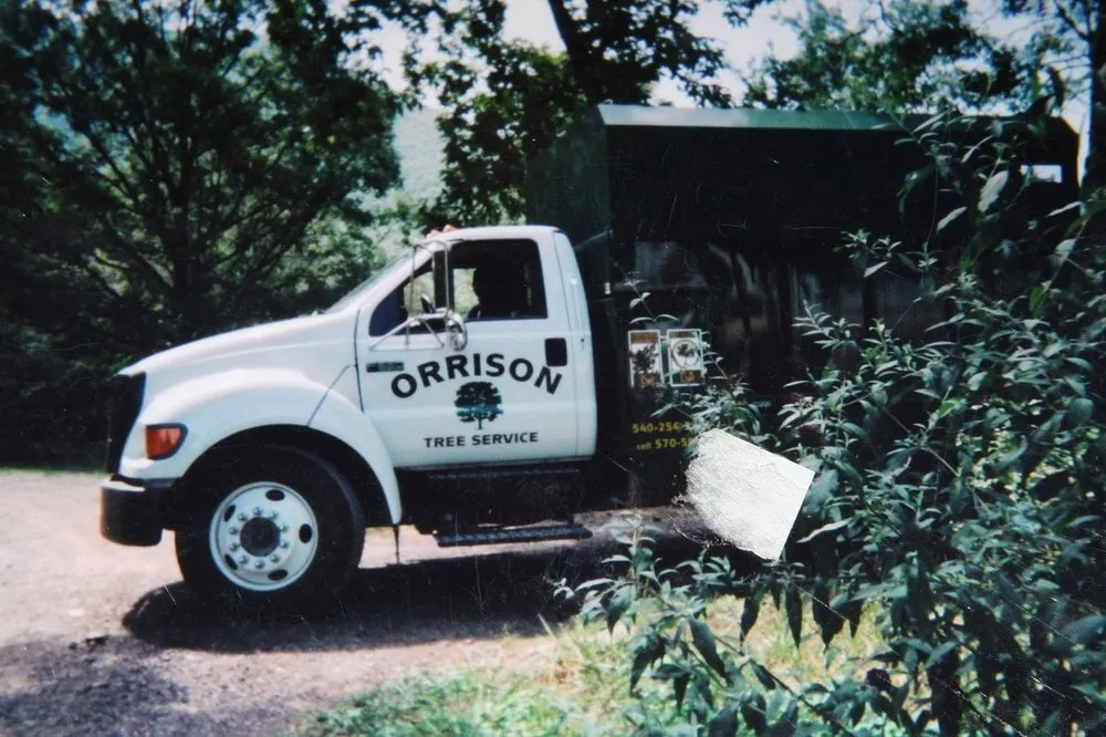 Expert landscape design for homes in Natural Bridge Station, VA by Orrison's Tree Service