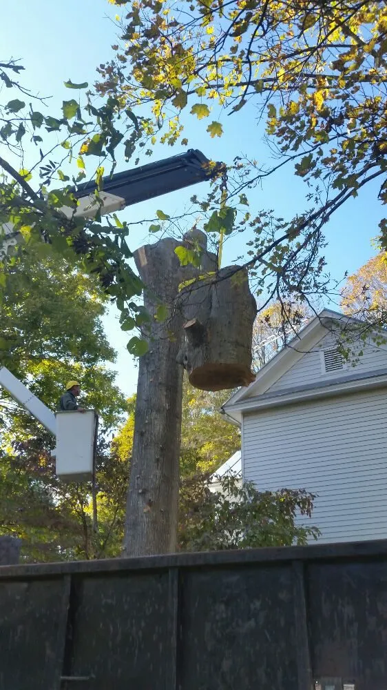 Professional garden landscaping for beautiful yards across Natural Bridge Station, VA - Orrison's Tree Service