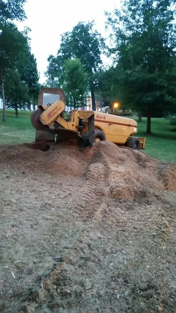 Custom landscape installation in Natural Bridge Station, VA by Orrison's Tree Service