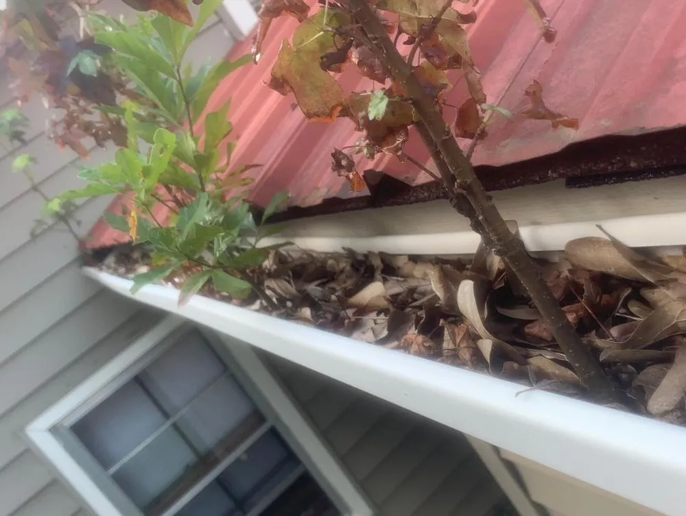 Top-rated yard cleanup service in Monroe, GA by Orr's Power Wash and More