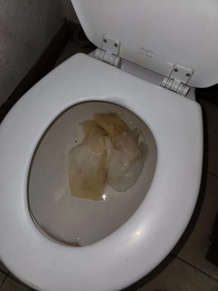 Custom landscape installation for beautiful yards in Brentwood, CA by Ortas Painting Remodel