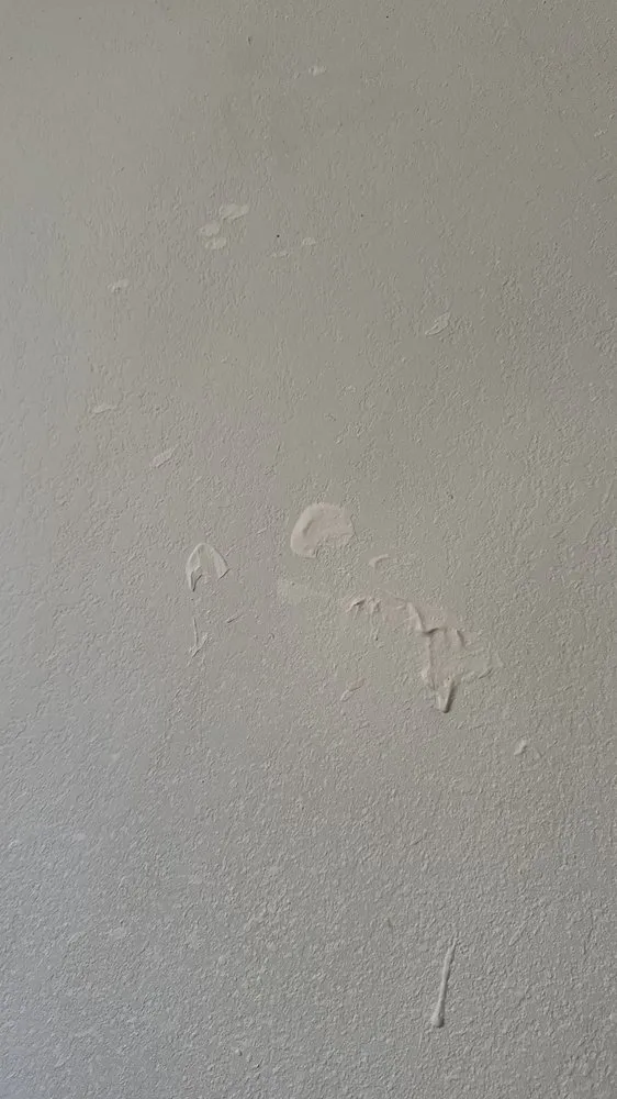 Trusted lawn mowing service in Brentwood, CA - Ortas Painting Remodel