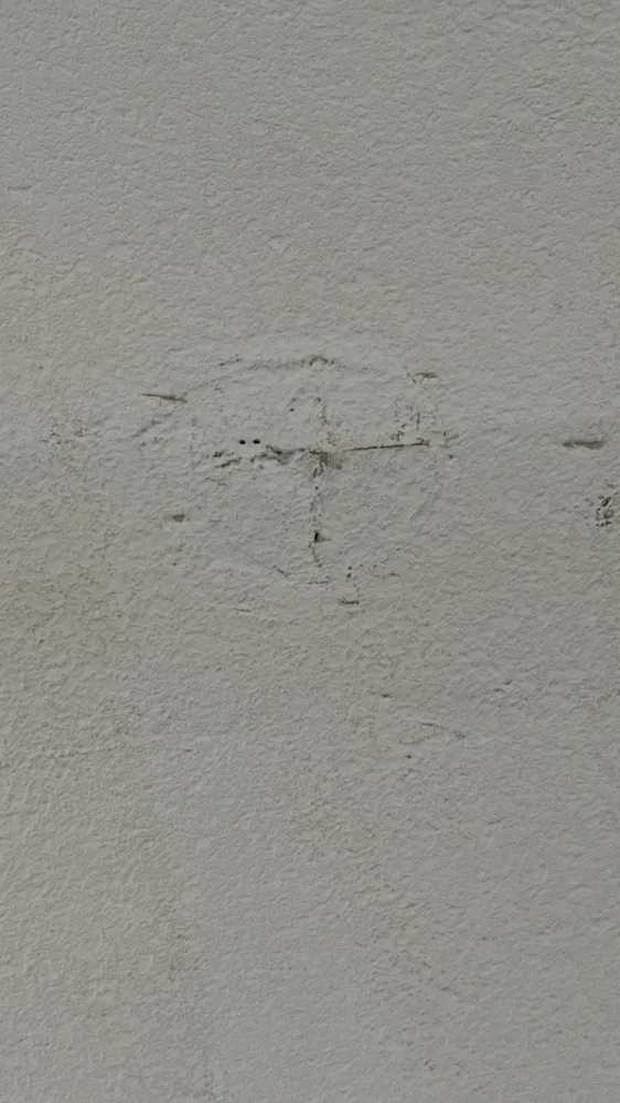 Expert lawn mowing service with custom design in Brentwood, CA by Ortas Painting Remodel