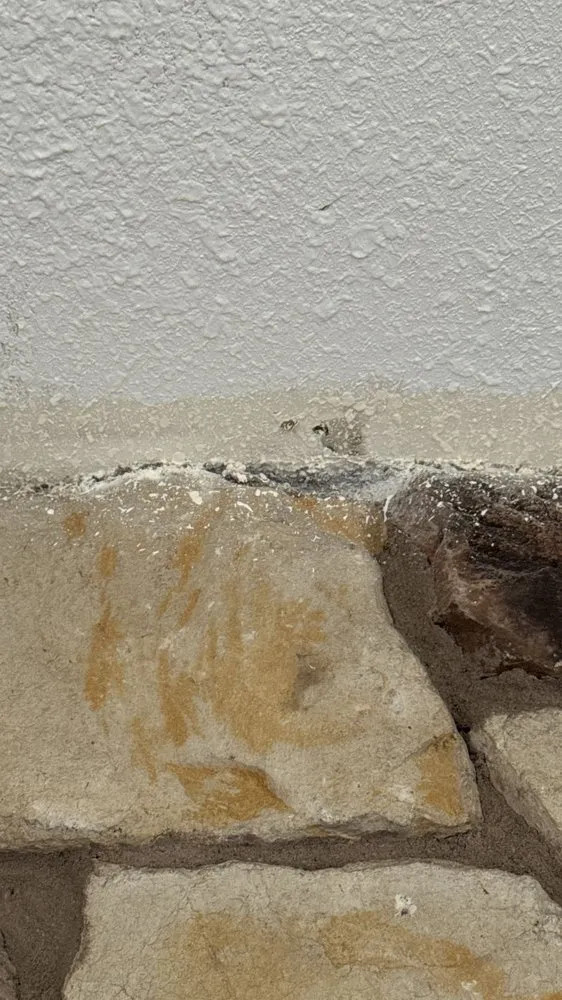 Trusted yard cleanup service experts serving Brentwood, CA - Ortas Painting Remodel