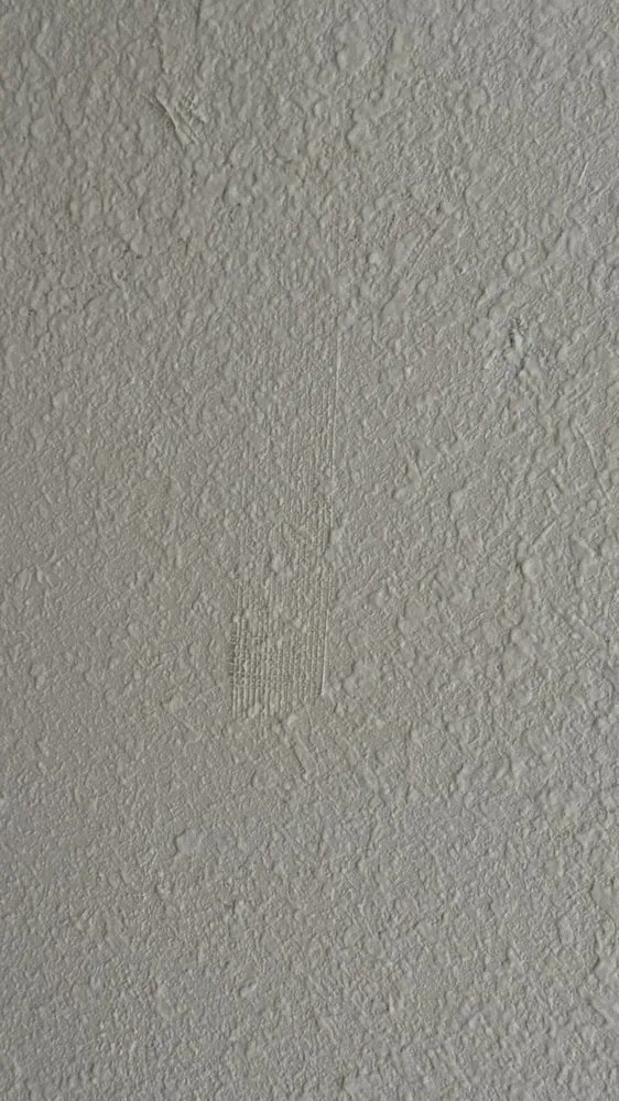 Local lawn care service for outdoor upgrades across Brentwood, CA - Ortas Painting Remodel