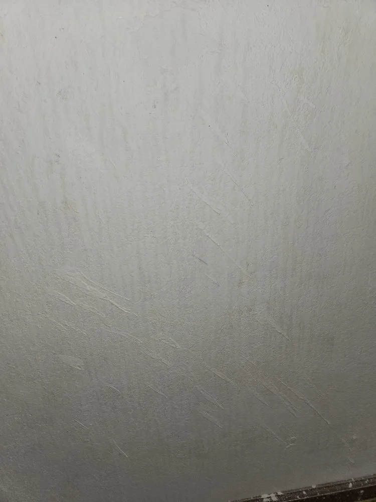 Trusted landscaping services near you across Brentwood, CA - Ortas Painting Remodel