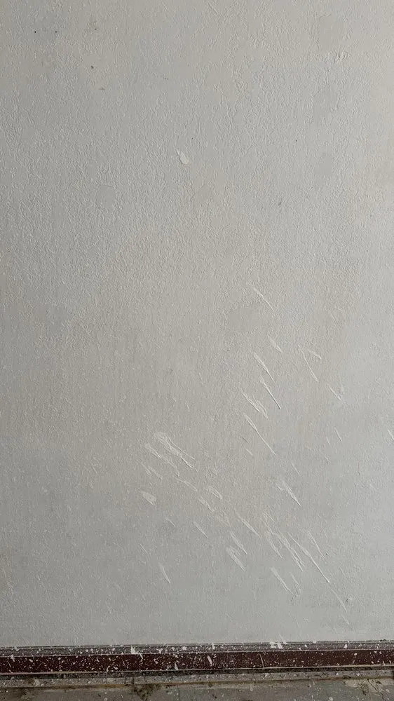 Expert residential landscaping experts serving Brentwood, CA - Ortas Painting Remodel